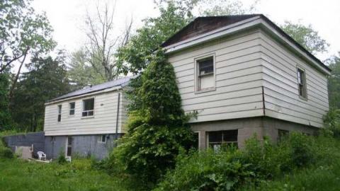 Who Let The Cats Out photo 2