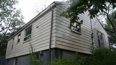 Who Let The Cats Out photo 3