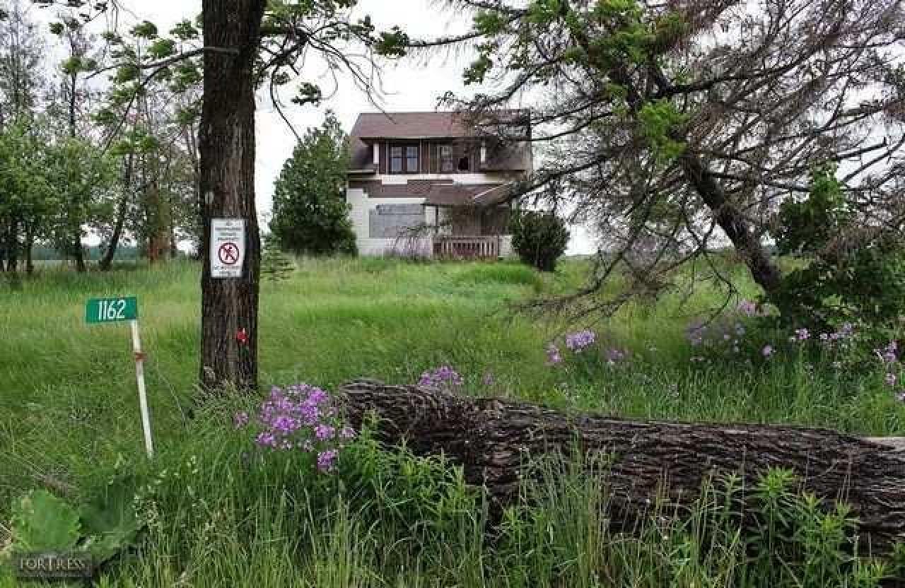 Coals for Eyes - Mudeye1.jpg