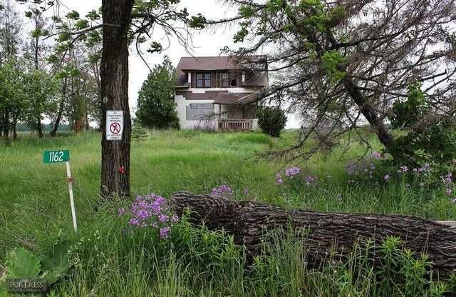 Coals for Eyes - Mudeye1.jpg