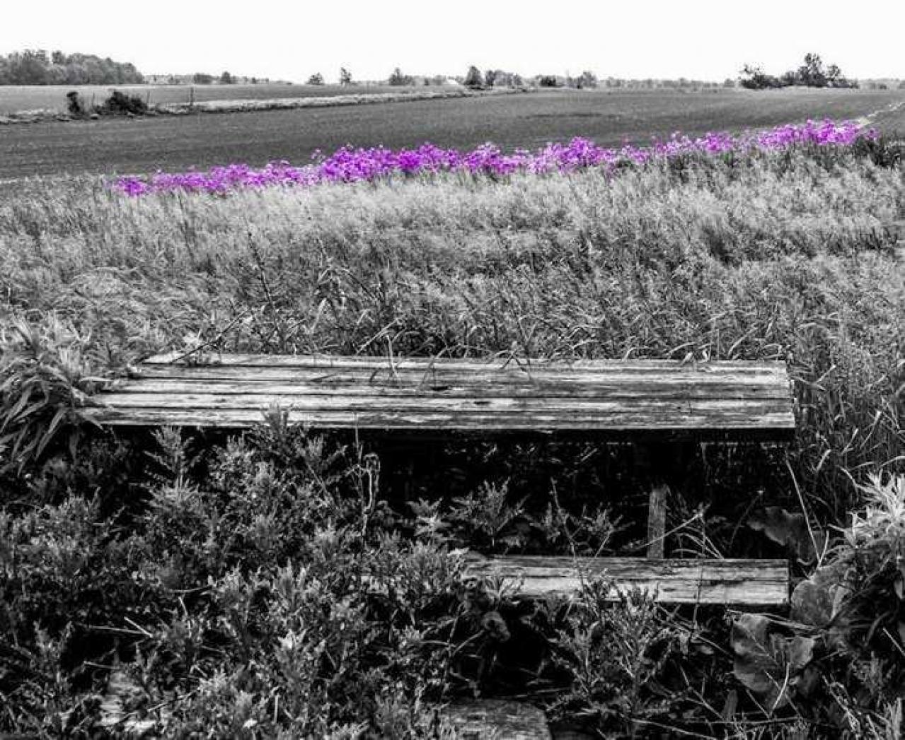 After the Inferno - 03 - IMG_1893-2O.jpg