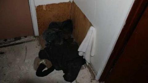 Abandoned house #2 - Abandoned-Edwards-House12.jpg