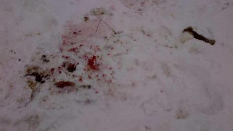 Split open - Split open 14.jpg