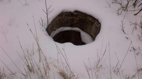 Split open - Split open 16.jpg