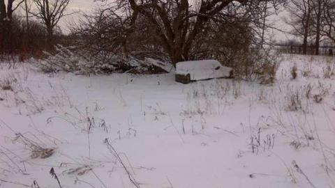 Split open - Split open 17.jpg