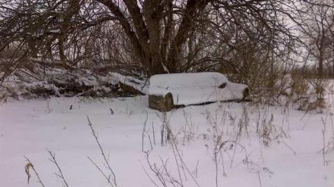 Split open - Split open 19.jpg