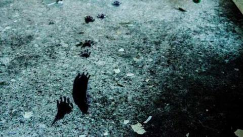 June 11, 2013 - McCormicks-Biscuit-Factory1006.jpg