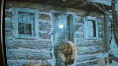 Forest Rangers TV Show Lot photo 4