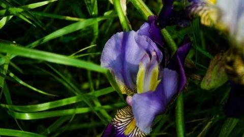 June 15, 2013 - Holey-Plow!55.jpg