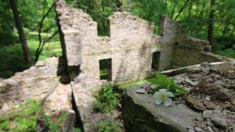 June 2013 - Barber-Dynamo86.jpg