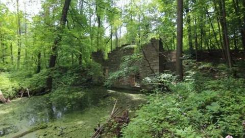 June 2013 - Barber-Dynamo87.jpg