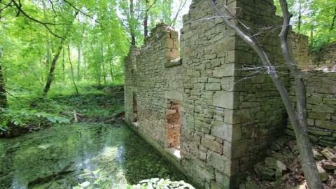 June 2013 - Barber-Dynamo2.jpg