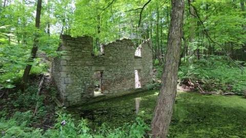 June 2013 - Barber-Dynamo90.jpg