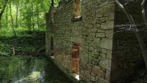 June 2013 - Barber-Dynamo93.jpg