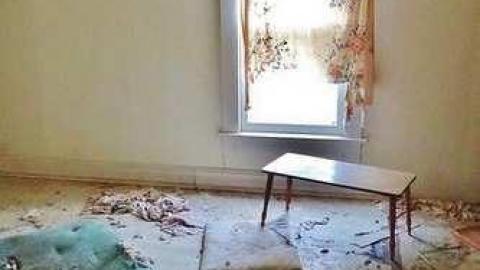 John's Cherry photo 3