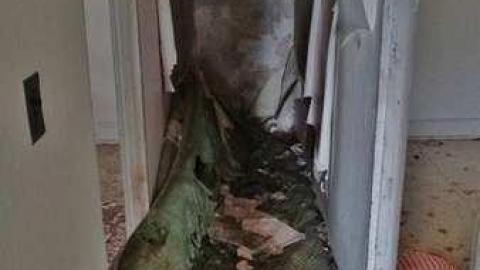 John's Cherry photo 5