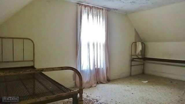 John's Cherry photo 3