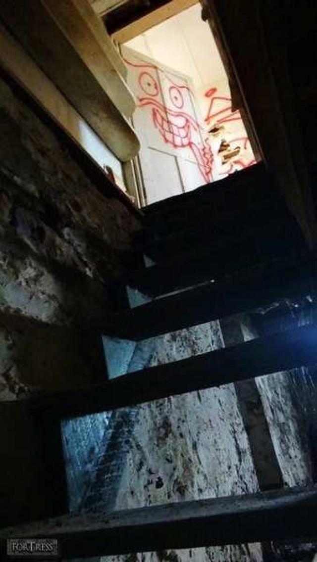 John's Cherry photo 2