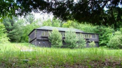 Mr. Moldy and Mrs. Peely - 1.jpg