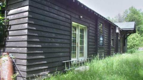 Mr. Moldy and Mrs. Peely - 2.jpg