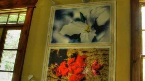 Mr. Moldy and Mrs. Peely - 7.jpg