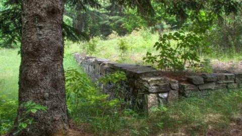 Mr. Moldy and Mrs. Peely - 8a.jpg