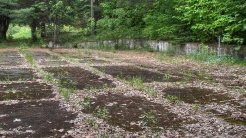 Mr. Moldy and Mrs. Peely - 9.jpg