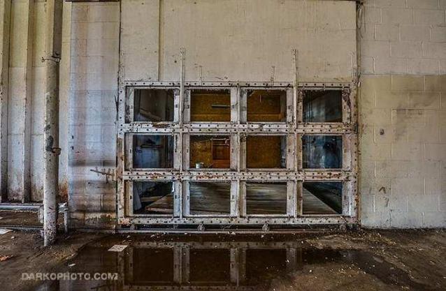 Expert Auto Mechanix photo 3