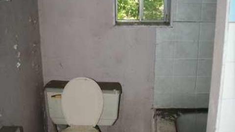 Burning Green photo 2