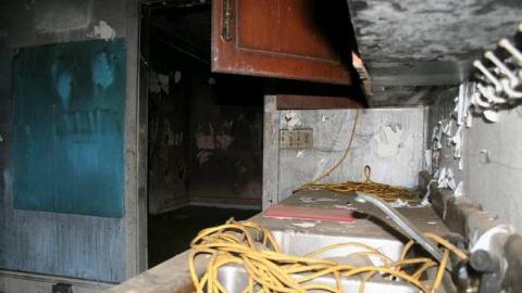 Burning Green photo 4