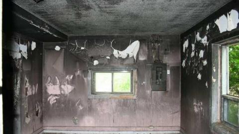 Burning Green photo 5