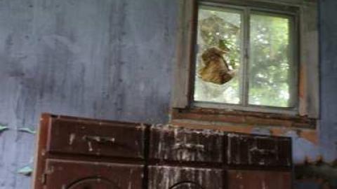 faces on the wall - 9.jpg