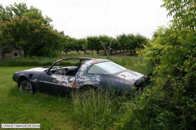 faces on the wall - 11.jpg