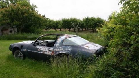 faces on the wall - 11.jpg