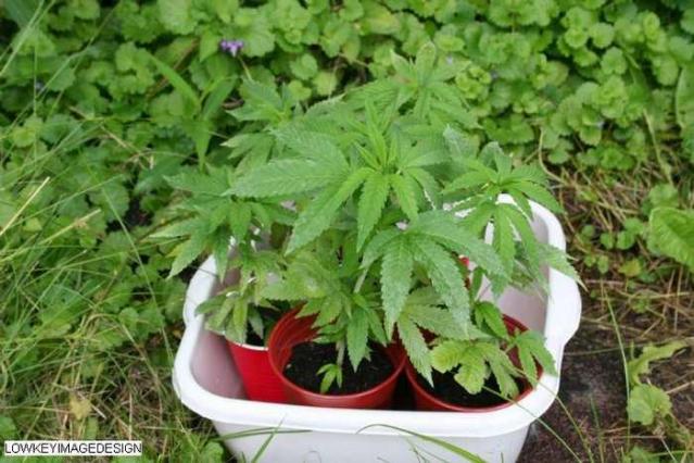 faces on the wall - 12.jpg