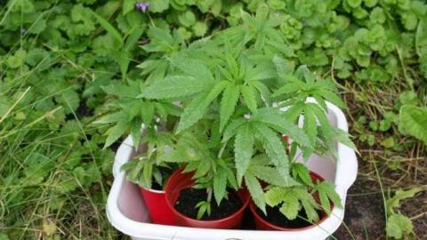 faces on the wall - 12.jpg