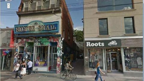 Snail Roots - silver snail.jpg