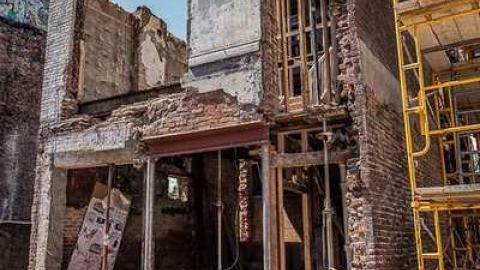 Silver Snail Roots - Toronto, Ontario