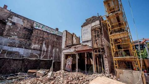 Silver Snail Roots photo 5