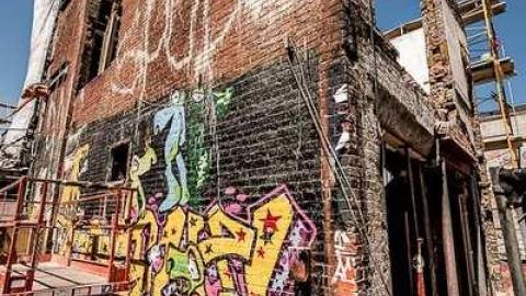 Silver Snail Roots photo 2