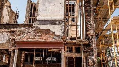 Silver Snail Roots photo 3