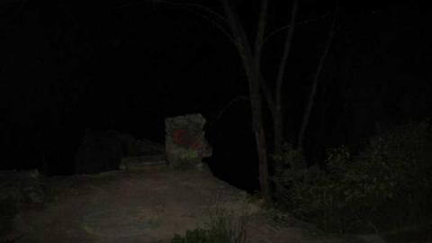 Cataract Falls Mill - Churchs-Falls-Old-Mill191.jpg