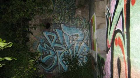 Cataract Falls Mill - Churchs-Falls-Old-Mill192.jpg