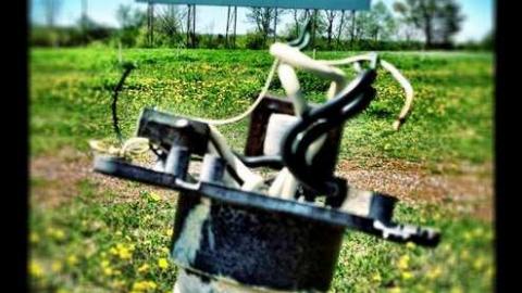 Mustang Drive-in - Cavan Monaghan, Ontario