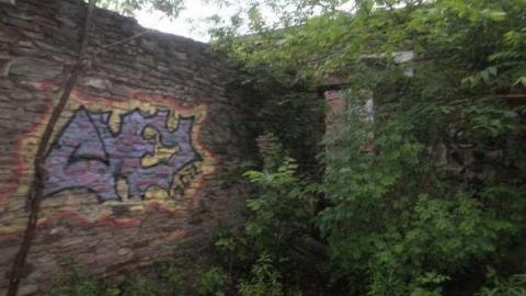 Banks of the Credit cover photo