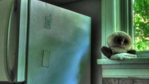 Photo from Going Going...