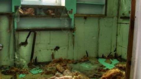 Going Going... - 9.jpg