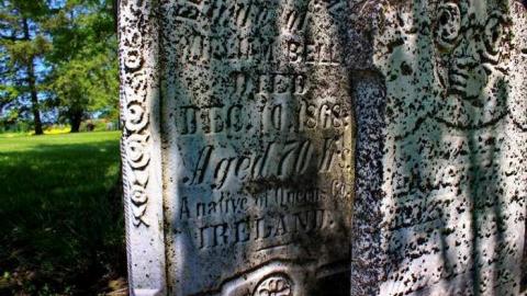 Anglican Pioneer Cemetery photo 3