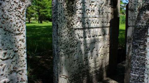 By the lake - Anglican-Pioneer-Cemetery13.jpg