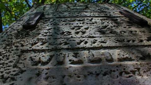 Anglican Pioneer Cemetery photo 2